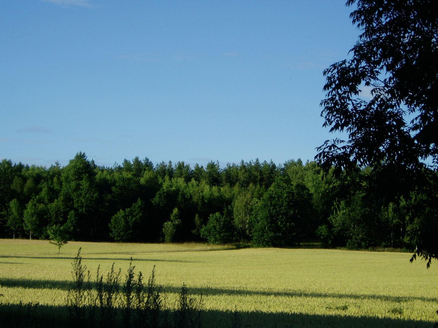 Lasta Gardshotell Strängnäs Exteriér fotografie
